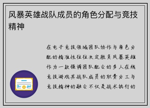 风暴英雄战队成员的角色分配与竞技精神