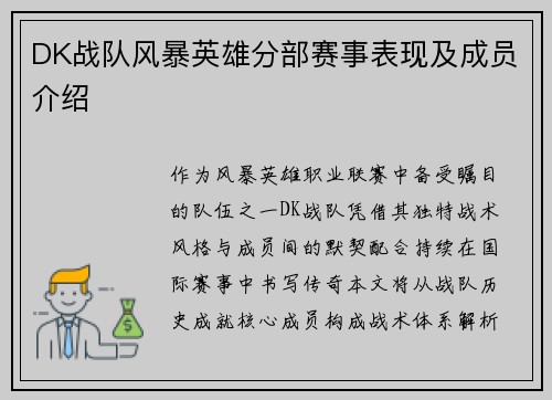 DK战队风暴英雄分部赛事表现及成员介绍